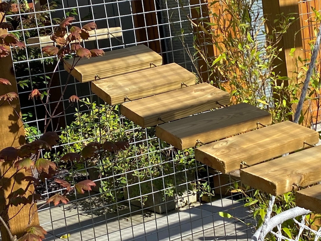 Cat Ladders for Catios. Easy to Fit and Easy to Adjust Due to Design