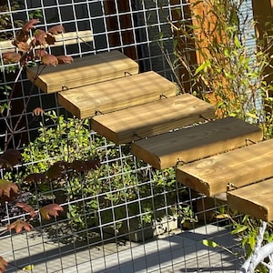 Escaleras para gatos a medida para Catios. El precio mostrado corresponde a 50 cm de la escalera más ancha. (Imagen 1) Si necesita una escalera más larga de 50 cm, envíe un mensaje.