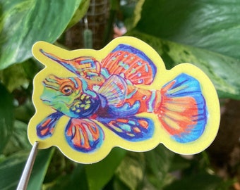 Mandarinfish Vinyl Sticker: 3 inch, waterproof deco sticker, water bottle, laptop, aquarium gift, nature inspired