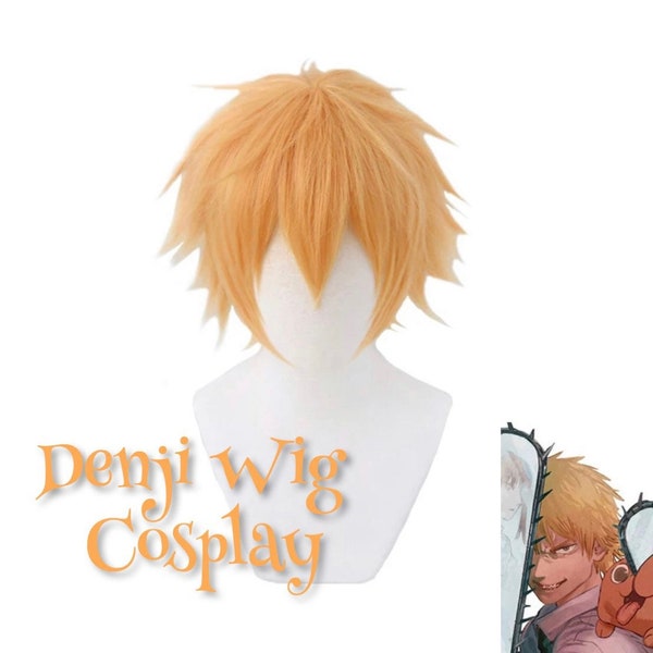 Perfect Anime Cosplay Wig