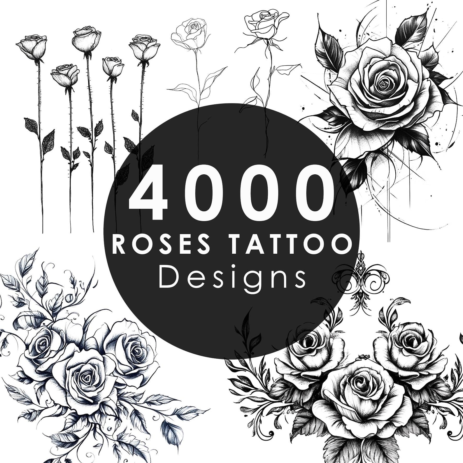 4000 Roses 4000+ Roses Ultimate Bundle Tattoo Designs Unique High Quality Line ...