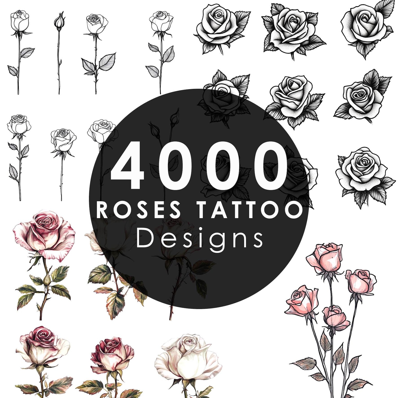 4000 Roses 4000+ Roses Ultimate Bundle Tattoo Designs Unique High Quality Line ...