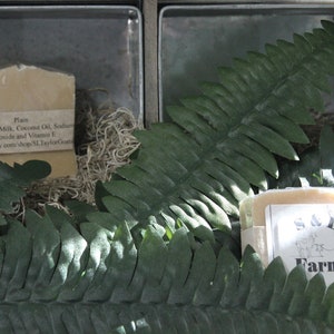 Plainly Creamy: Handmade Goats Milk Soap