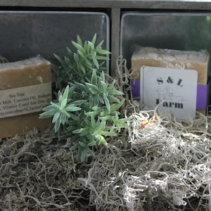 May include: Two bars of handmade soap, one labeled "Tea Tree" and the other with "S & L Farm". The soaps are light brown and wrapped in paper. Greenery and dried moss surround the soaps, creating a natural aesthetic.