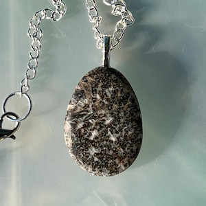 Bone Wood (Petrified Palm Wood) Teardrop Pendant Necklace