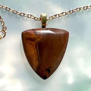 May include: A gold chain necklace with a brown and gold pendant. The pendant is a shield shape with a swirling pattern.