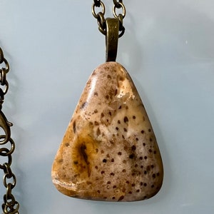 Texas Petrified Palm Triangle Wood Pendant Necklace