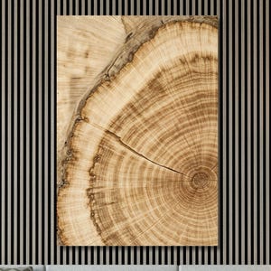 Tree Ring Print on Canvas Wall Art, Abstract Colorful Tree Ring Wall Decor, Tree Ring Minimalist Art Canvas,Livingroom decor,Office Decor 2
