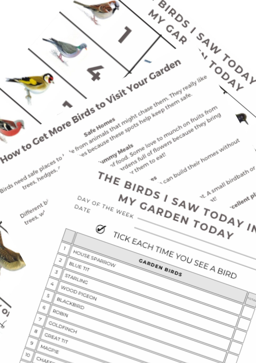 Bird Watching Bird Spotter Garden Bird Kids Bird Etsy