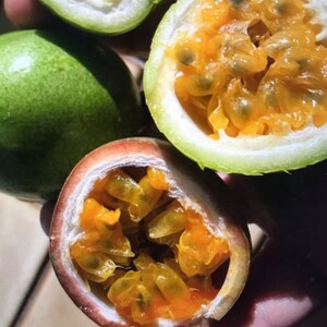 Puede incluir: Primer plano de tres frutos de la pasi&oacute;n, dos est&aacute;n cortados por la mitad revelando la pulpa amarilla y las semillas negras, el tercero est&aacute; entero y verde.