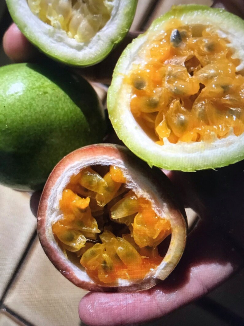 Puede incluir: Primer plano de tres frutos de la pasi&oacute;n, dos est&aacute;n cortados por la mitad revelando la pulpa amarilla y las semillas negras, el tercero est&aacute; entero y verde.