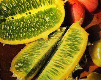 20 Seeds of African Horned Melon. Kiwano melon. Cucumis metuliferus,