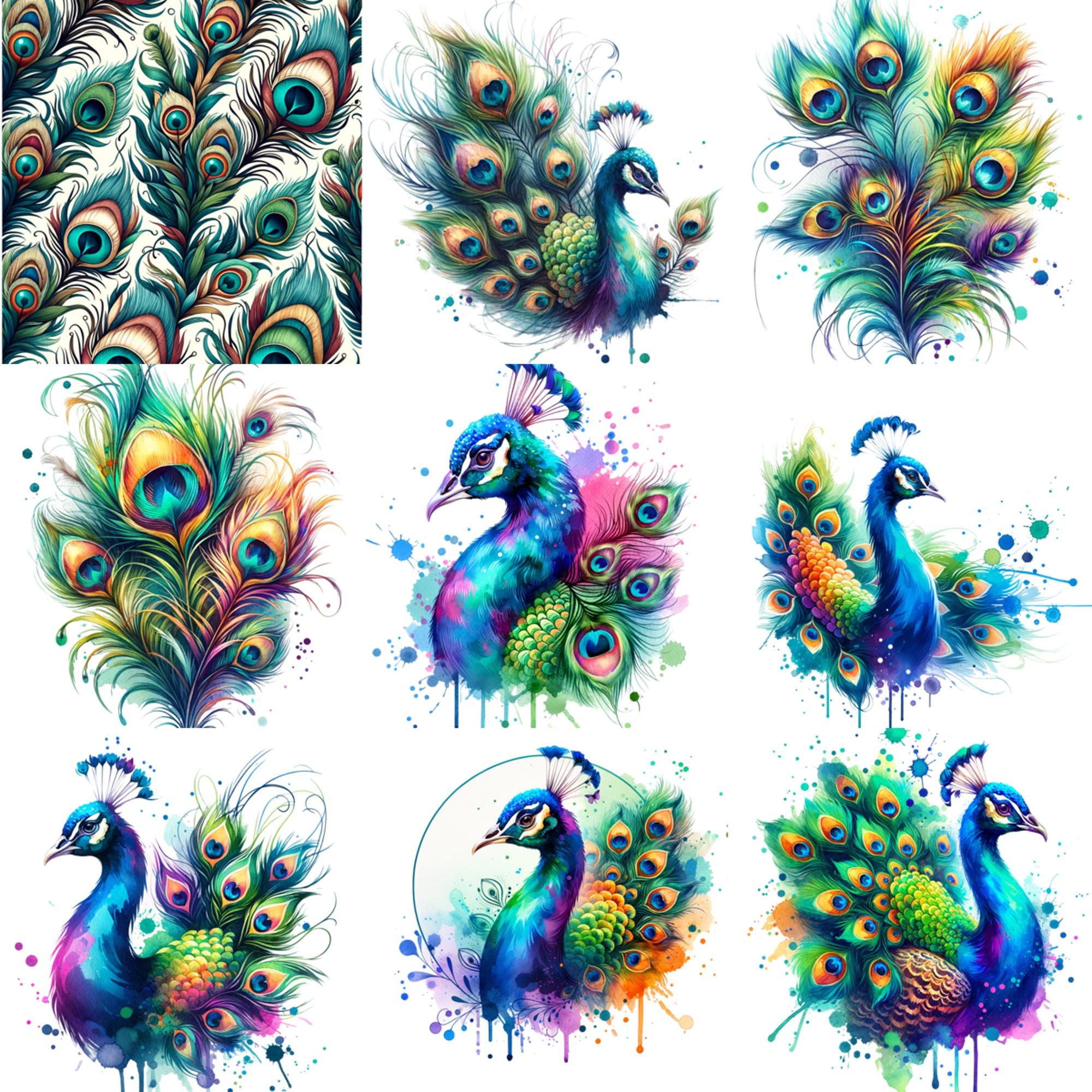 Peacocks, clip art, printables, PNGS - peacock feathers - a colorful peacock with feathers, wall art