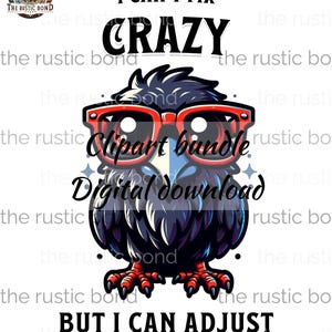 I CAN'T FIX CRAZY, maar ik kan je bril aanpassen - optisch, optometrie, clipart voor tshirts, leuke projecten, mokken, kunst aan de muur