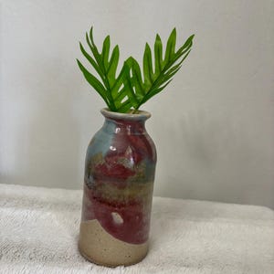 May include: A small, ceramic vase with a brown, red, and blue glaze. The vase is filled with a single green plant.