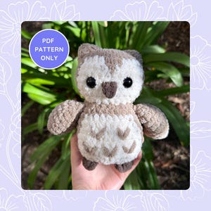 Baby Owl Crochet Pattern - Amigurumi Plushie Digital Download - Beginner Friendly