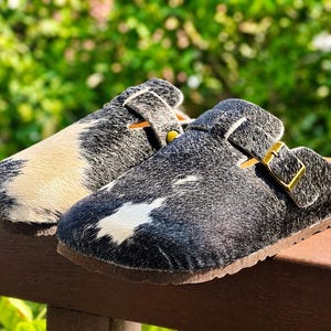 May include: A pair of clogs with a cowhide pattern in black, white, and tan. The clogs have a cork sole, a buckle closure, and a brown leather strap. The background is a blurred green foliage.