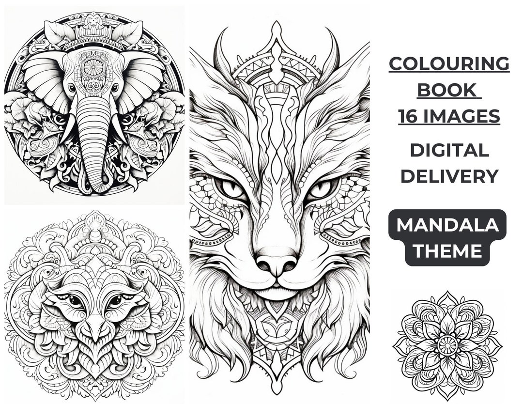 Mandala Theme Colouring Book X16 Images Digital Delivery - Etsy