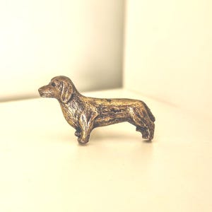 Brass effect Dachshund knob