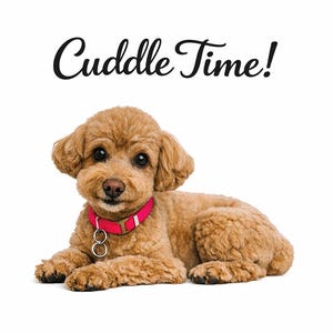 Cute Mini Poodle Cuddle Time Printable Portrait