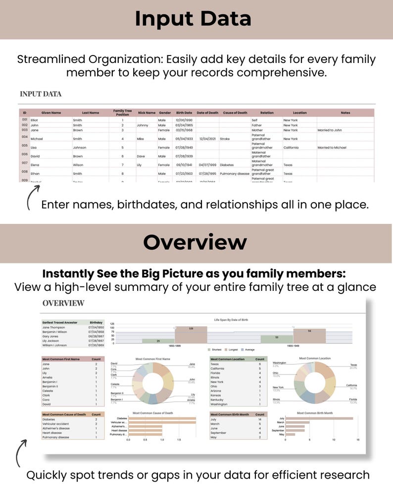 May include: A spreadsheet with a table showing family tree information. The table includes columns for ID, Given Name, Last Name, Family Tree Position, Nick Name, Gender, Birth Date, Date of Death, Cause of Death, Relation, Location, and Notes. The spreadsheet also includes a chart showing the most common first names, locations, causes of death, and birth months. The chart is divided into four sections, each with a different color scheme. The chart is titled "Overview".