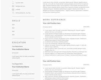 Professional Resume/Curriculum Vitae