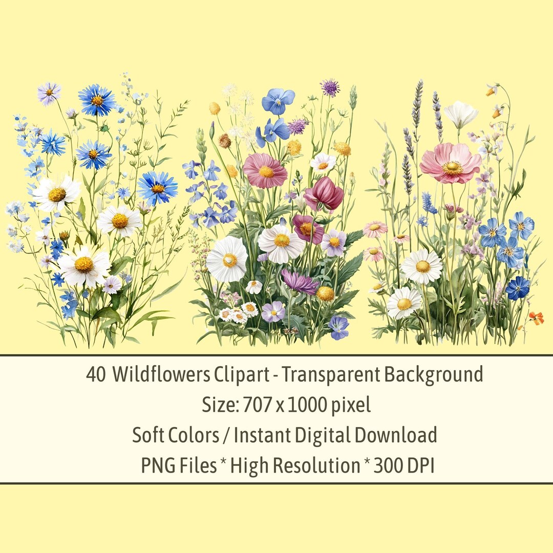 Wildflowers Clipart Floral Watercolor Clip Art Printable Wall Art ...