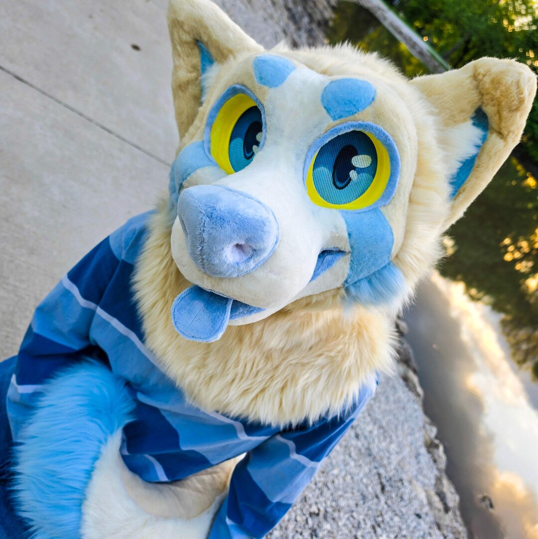 Fursuit Puppy Partial Premade Furry Mask Blue Dog Fursona - Etsy