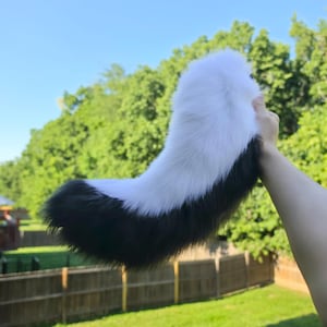 May include: A plush, faux fur animal tail accessory featuring a two-tone design with a thick, fluffy white section at the base that transitions into a long, dark black tip. The tail has a soft, dense texture and a curved, tapered shape.