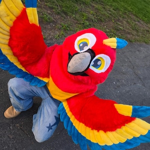 Puede incluir: Un vibrante disfraz de loro con una gran cabeza roja y detalles amarillos, azules y blancos. El disfraz incluye grandes alas con plumas rojas, amarillas y azules. La persona lleva vaqueros azules y zapatos color canela.