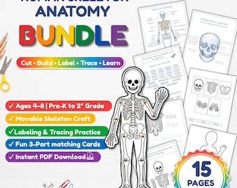 Könnte beinhalten: Ein Human Skeleton Anatomy Bundle Lernset mit 15 Seiten an druckbaren Aktivitäten. Enthält ein bewegliches Skelett zum Basteln, Übungen zum Beschriften und Nachzeichnen sowie 3-teilige Zuordnungskarten für Kinder im Alter von 4 bis 8 Jahren.