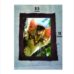 Peut inclure: Photographie encadrée d'un chaton curieux avec une fourrure orange et noire, regardant à travers une branche d'arbre. Le cadre marron foncé est posé sur un fond en denim. Le cadre mesure environ 21,6 x 27,9 cm.