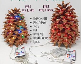 Coulter Pine Cone Charm Tree - Largest Cone in the World, Tabletop Christmas, Centerpiece