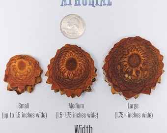 Knobcone Pine Cone Slices for Jewelry Crafts Core Heart Cut 90 Degree