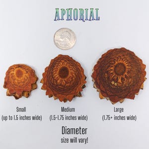 Knobcone Pine Cone Slices for Jewelry Crafts Core Heart Cut