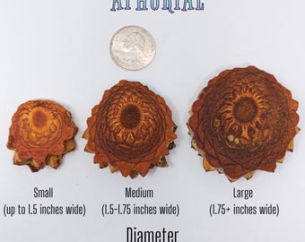 Knobcone Pine Cone Slices for Jewelry Crafts Core Heart Cut