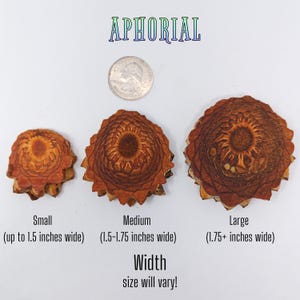 May include: Three sizes of decorative, brown, circular objects with a quarter for size comparison. The objects are labeled "Small", "Medium", and "Large", with width measurements in inches. The word "APHORIAL" is at the top.