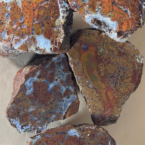 May include: Five rough, unpolished agate rock specimens featuring intricate patterns of deep red, burnt orange, brown, and creamy white mineral inclusions. Each stone displays a unique, fractured surface with visible crystalline textures and veins.