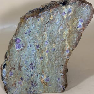 May include: A rough-hewn rock specimen with a mottled surface. The stone features a muted green-blue base color, speckled with vibrant purple crystalline formations. The edges of the rock have a brownish hue.