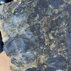 445 Gram Labradorite Slab THICK!