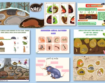 Hojas de trabajo de animales excavados Actividades de animales excavados para niños Kindergarten Peschooler Libro tranquilo Libro ocupado para niños pequeños Páginas de actividades