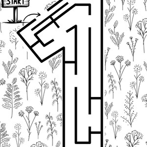 May include: Black and white maze in the shape of the number one, with a start and finish sign. The words "You did it!" are written at the bottom. The background is a floral pattern.