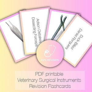 Veterinary Surgical Instruments Flashcards with images | **DIGITAL DOWNLOAD**