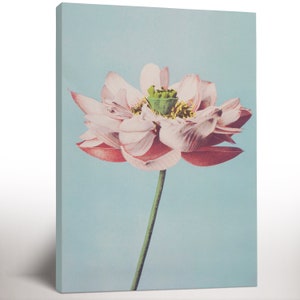 Lotus Flower Wall Art Canvas Prints, Lotus Flower Print, Japanese Botanical Art Poster, Nature Art, Floral Poster