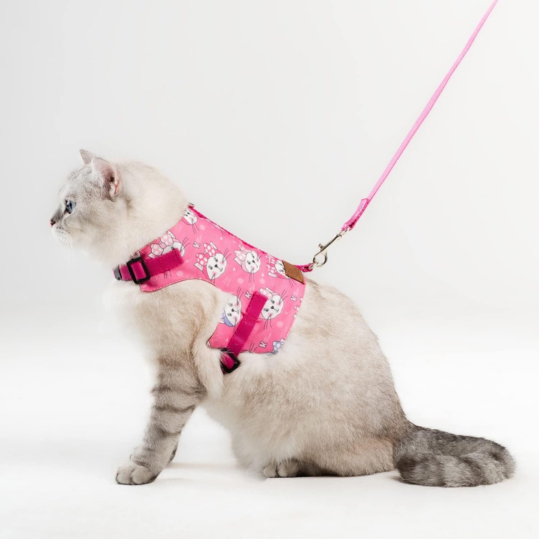 Cat Harness and Leash Set, Cats Escape Proof Adjustable Kitten Harness