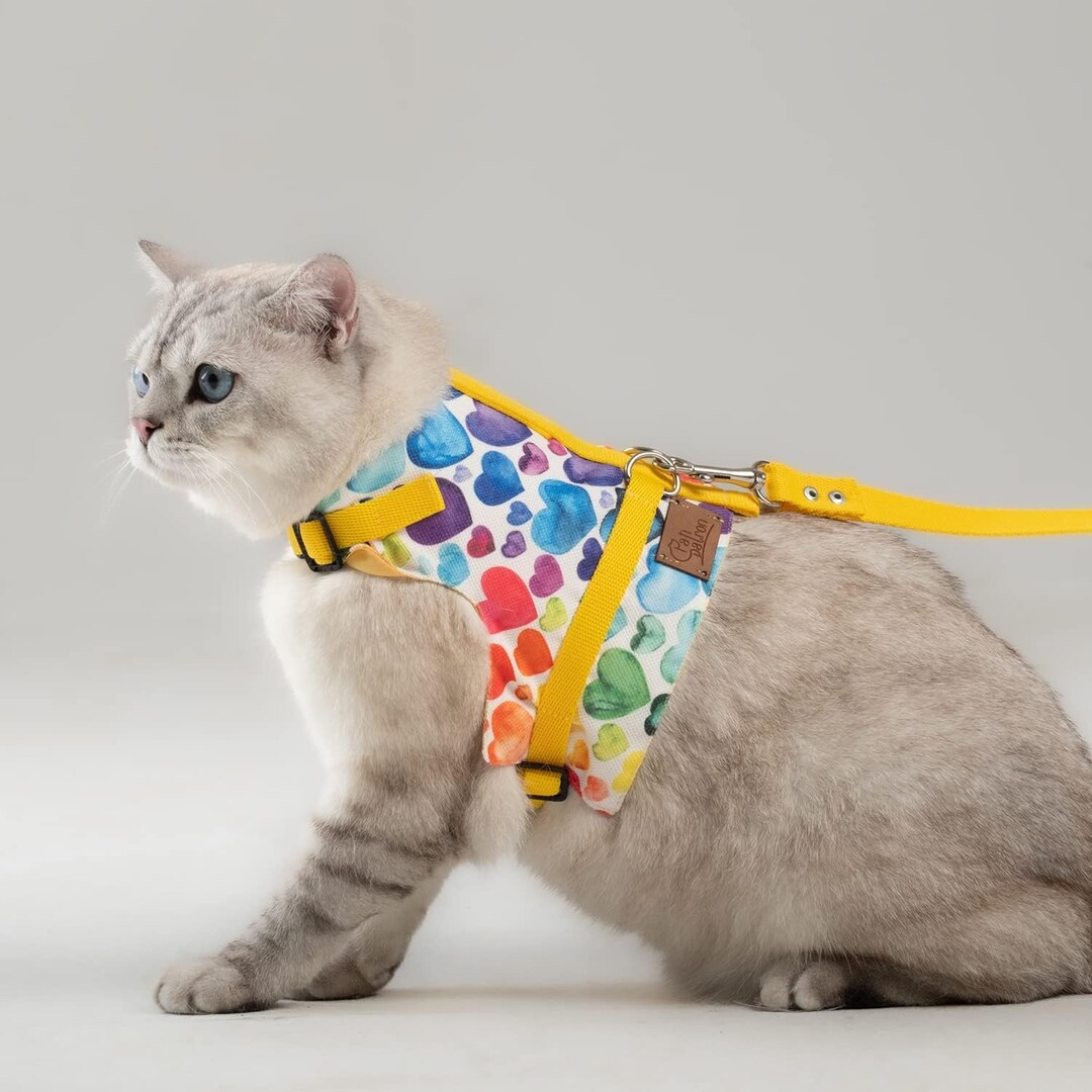 Cat Harness and Leash Set, Cats Escape Proof Adjustable Kitten Harness