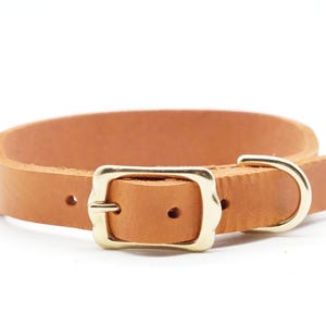 Collar for dogs made of soft fat leather in whisky / cognac, personalization possible