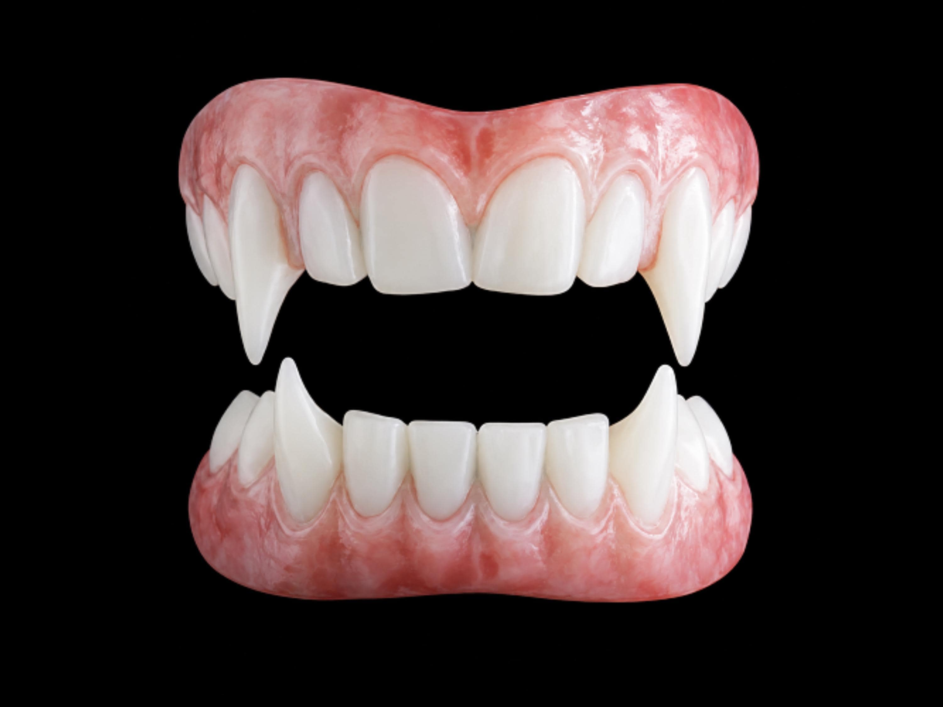 Wolf Teeth, Werewolf Fangs, Vampire Fangs, Vampire Teeth, Werewolf Teeth, Wolf Fangs, Werewolf Sharp Fangs, Prosthetic FX Fangs