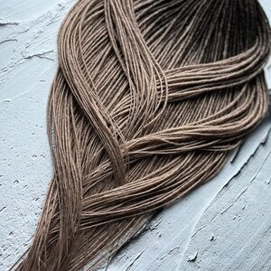 May include: A bundle of brown ombre synthetic dreadlocks. The dreadlocks are arranged in a loose braid pattern.