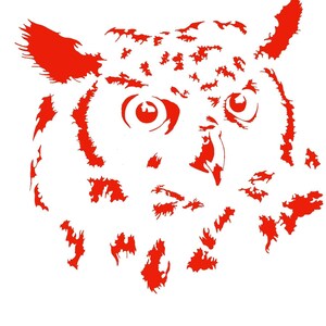 May include: A red silhouette of an owl's face with large, round eyes. The owl's feathers are depicted with a textured, brushstroke-like design.